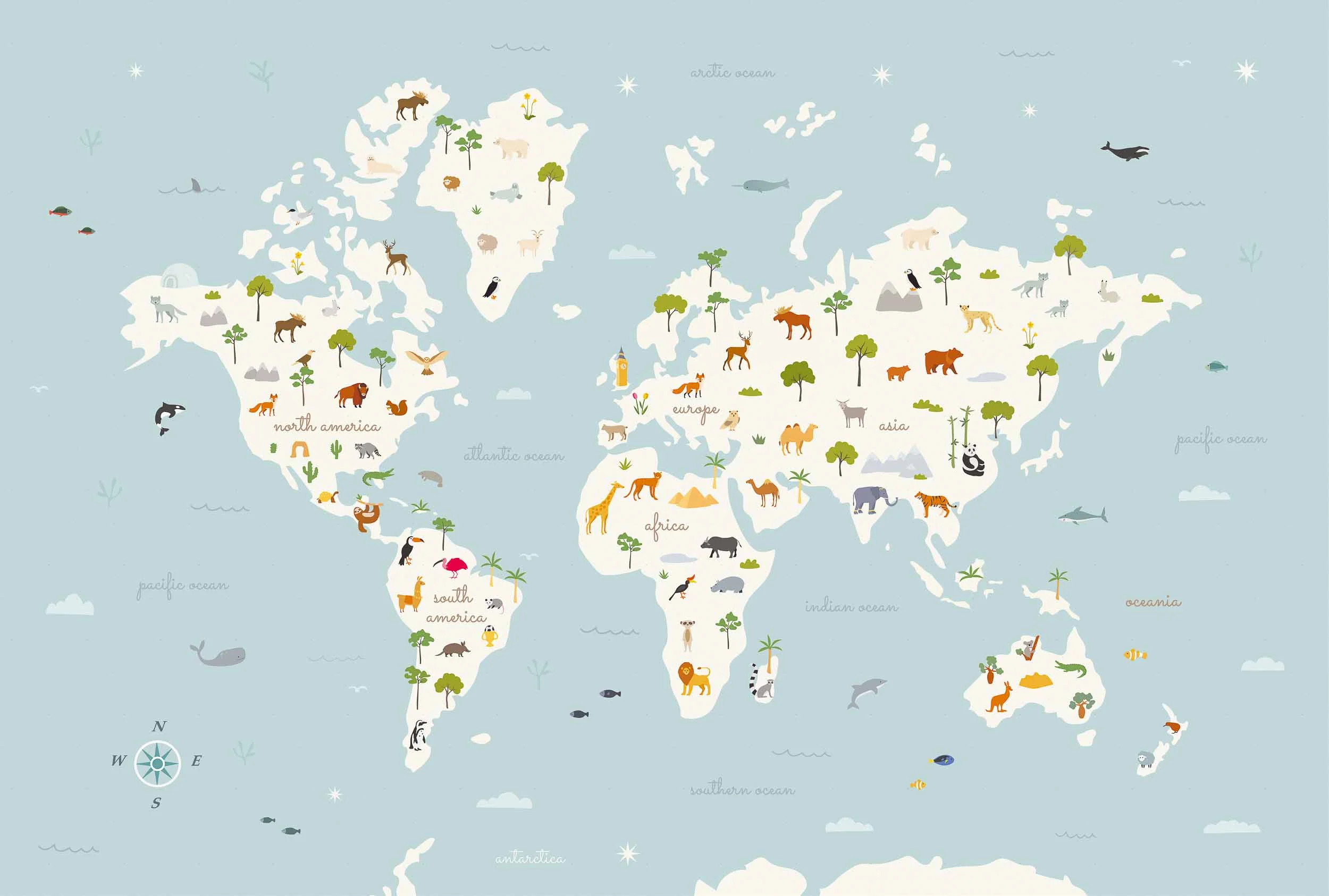 Animal Map, Aqua, Coordonne